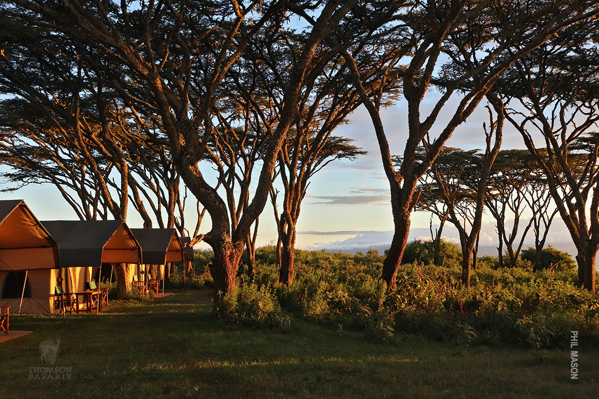 thomson nyumba camp at ngorongoro crater
