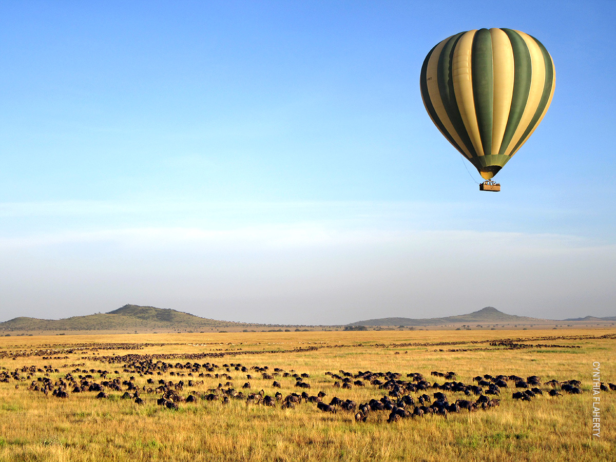 hot air balloon over serengeti