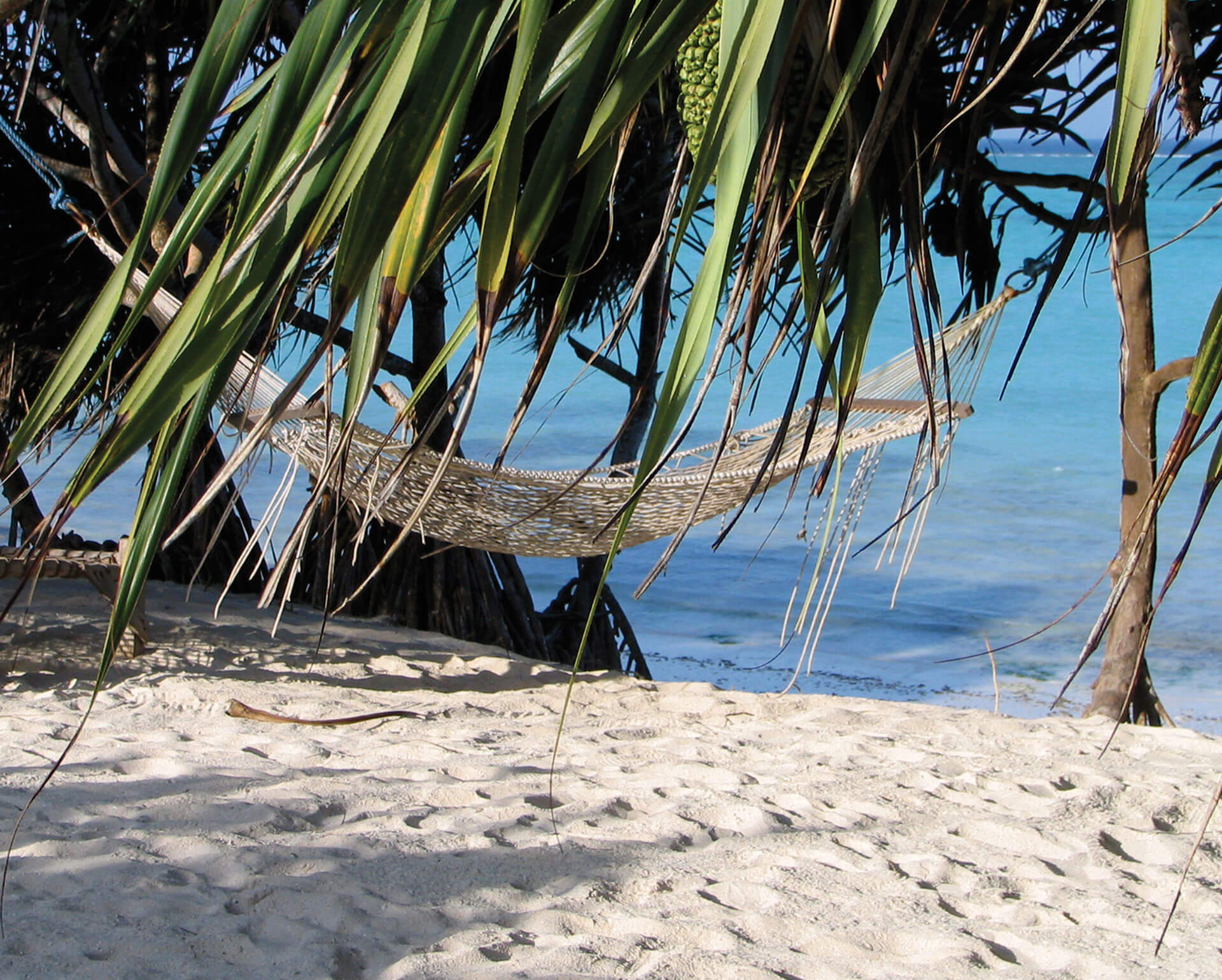 relax on hammock under palm trees on zanzibar islands