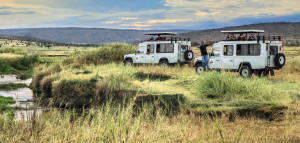 thomson safari guides in tanzania
