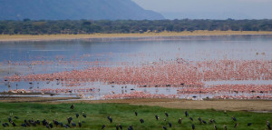 lake in tanzania