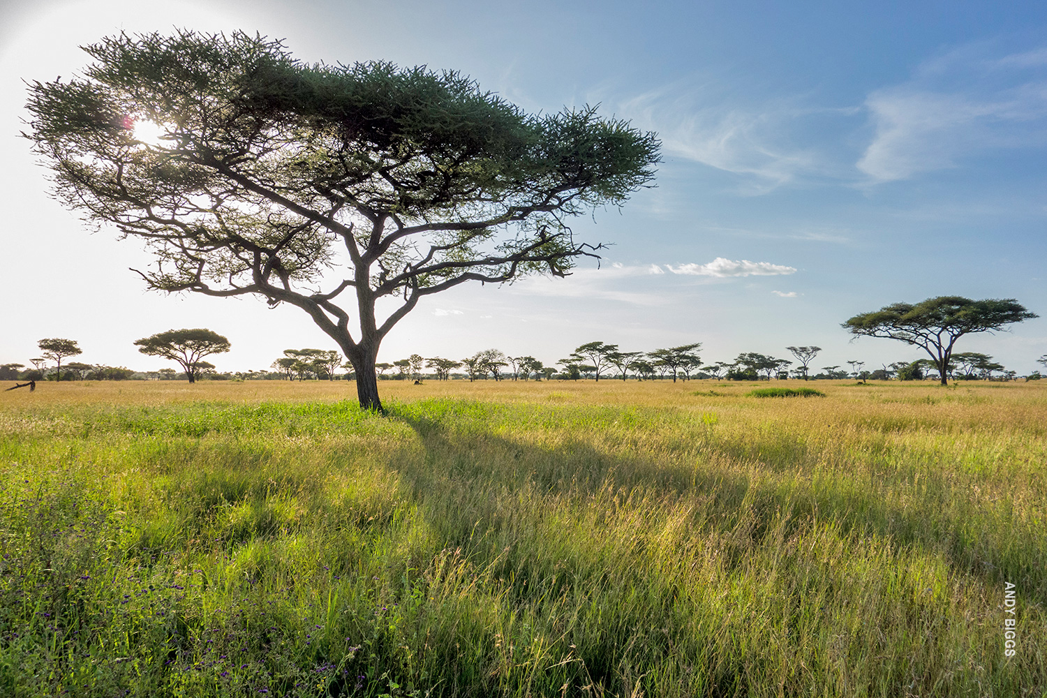 Explore Tanzania | Thomson Safaris