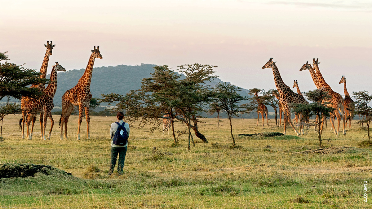 walking safari thomson nature reserve tanzania