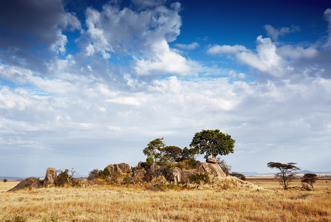 kopje is a rocky outcropping in the plains of the serengeti