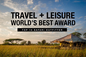 thomson safaris travel and leisure award