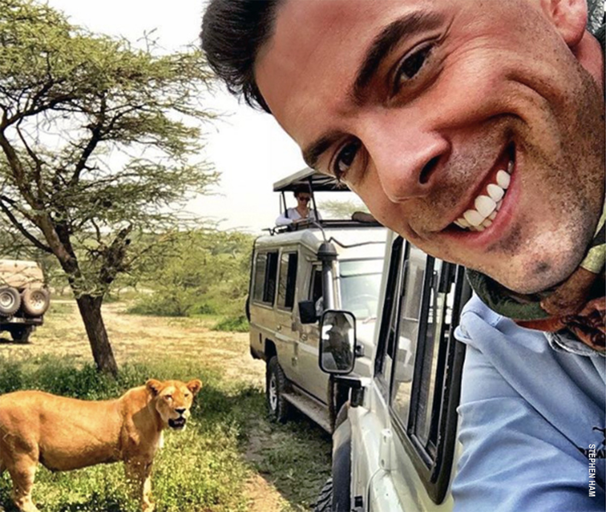 lions on safari in tanzania