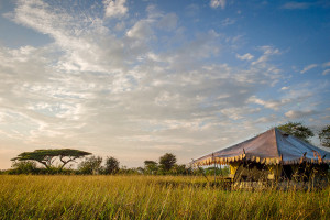 nyumba tent in serengeti tanzania