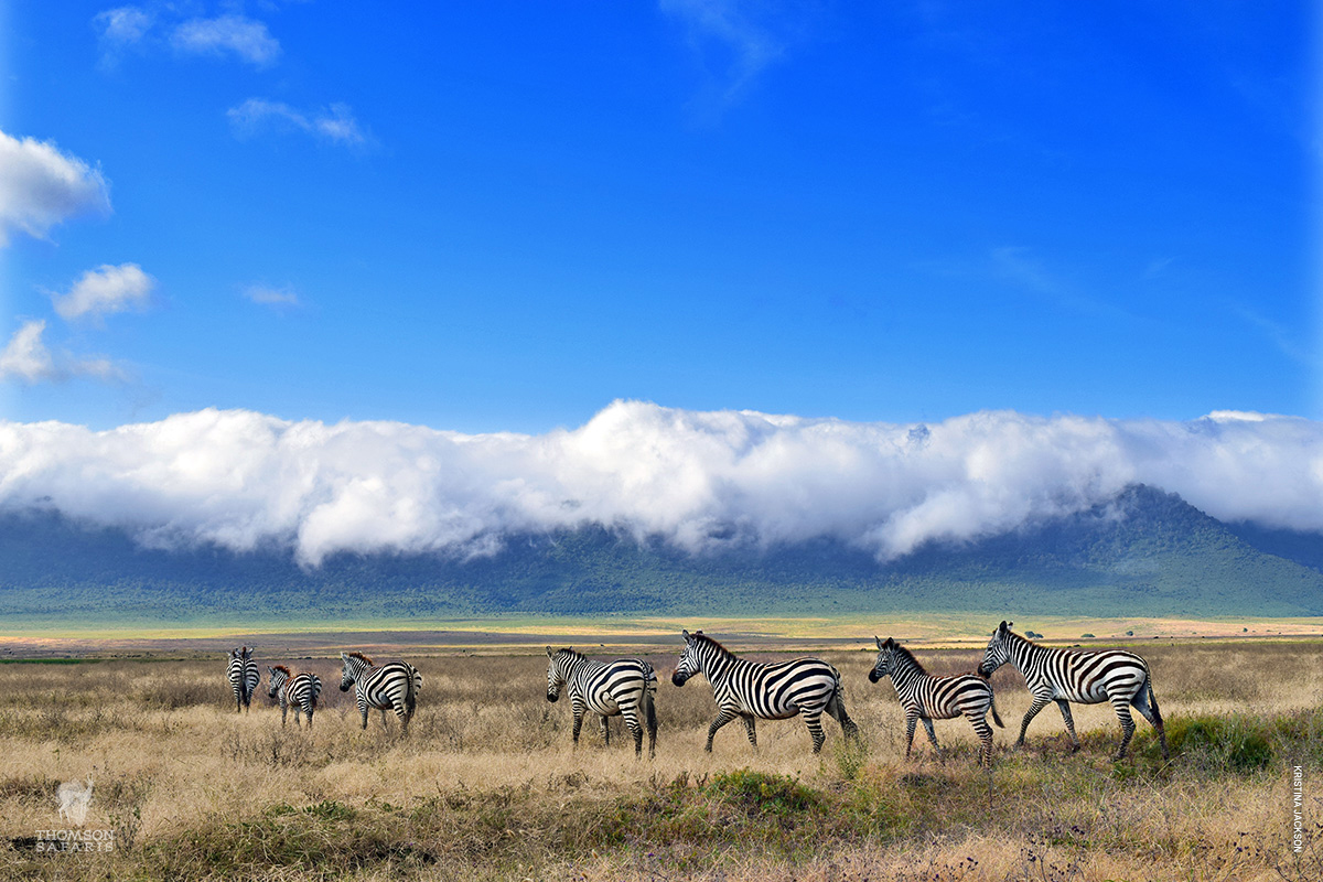 mist rolls over rim of ngorongoro crater