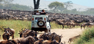 landrover driving through great migration in tanzania