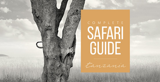 preparation guide for safari