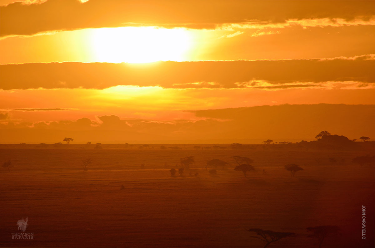 best sunrise over serengeti from hot-air balloon