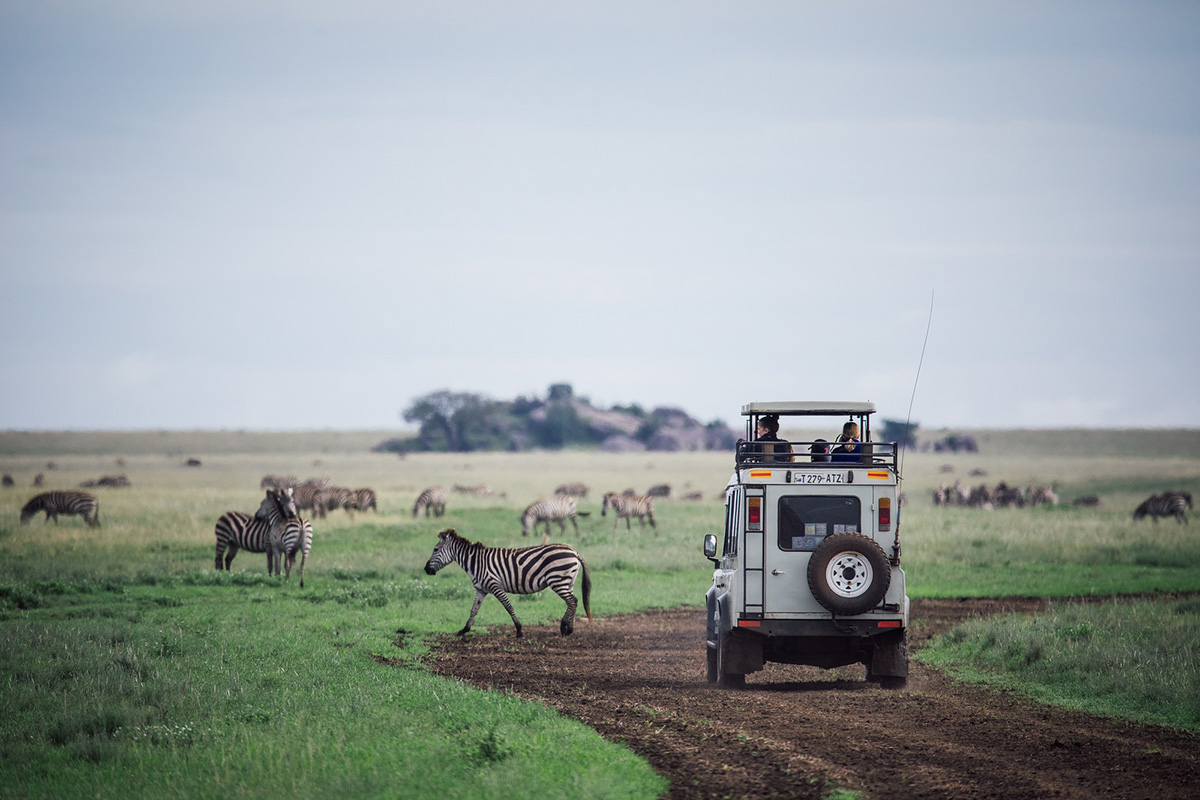 tanzania safari with photographer jason zucco