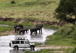 wildlife viewing in thomson land rover with elephants in tarangire