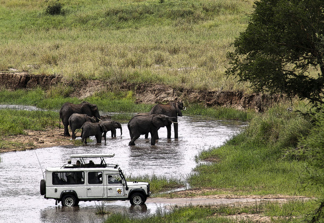 wildlife viewing in thomson land rover with elephants in tarangire