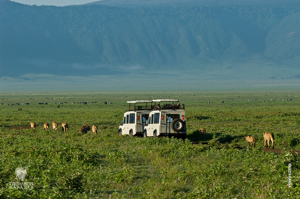 wildlife viewing in ngorongoro crater