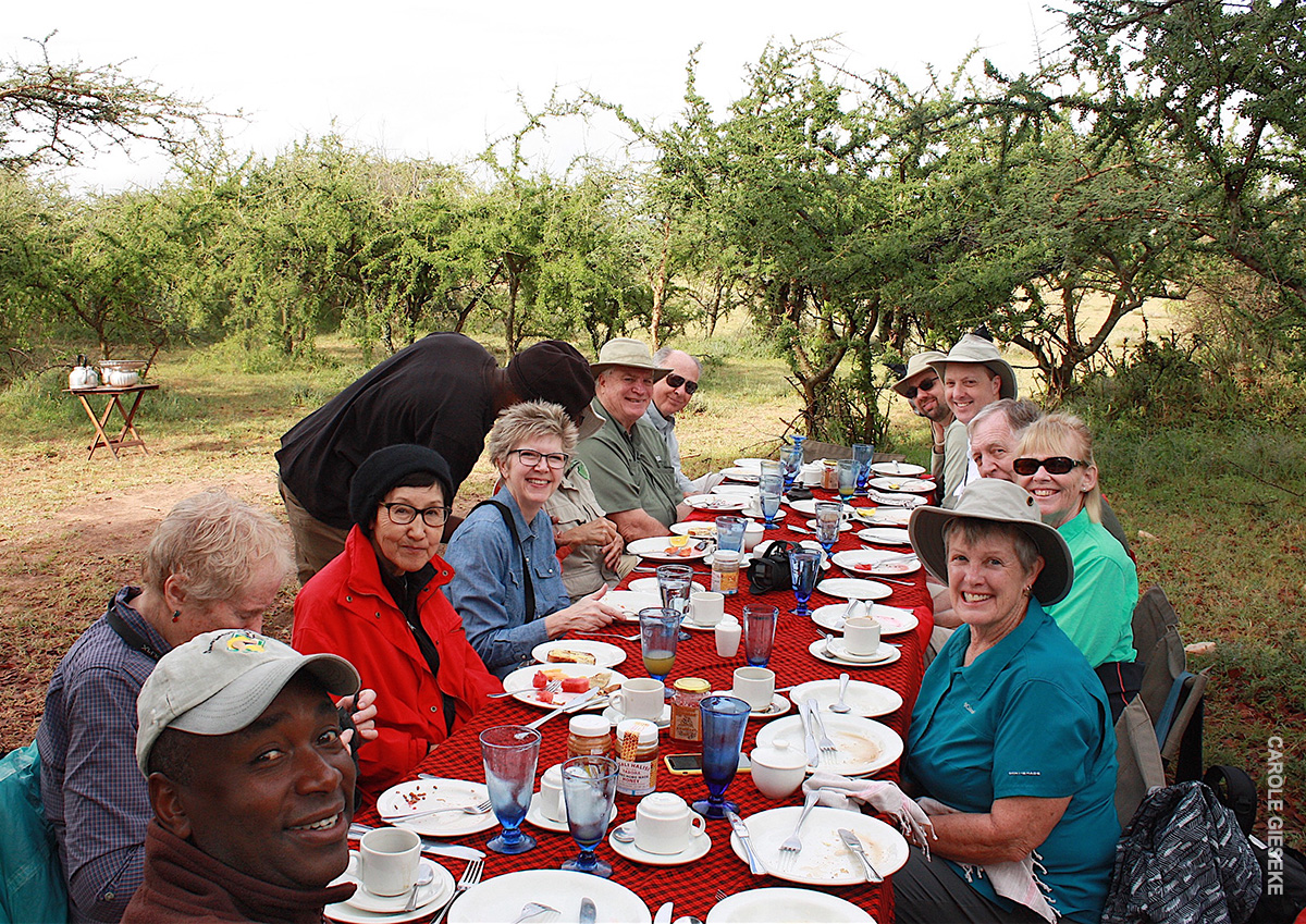bush breakfast in the serengeti
