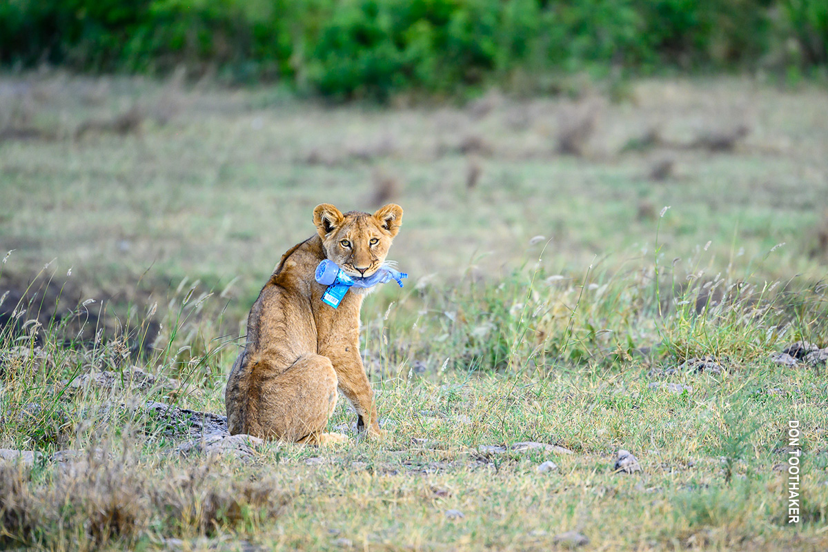 eliminating single-use plastic on safari
