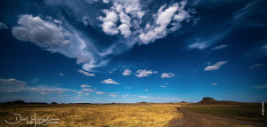 serengeti landscape
