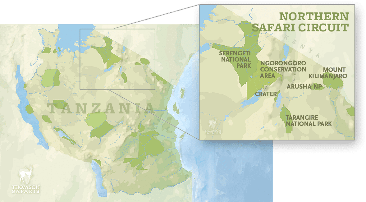 northern tanzania safari circuit