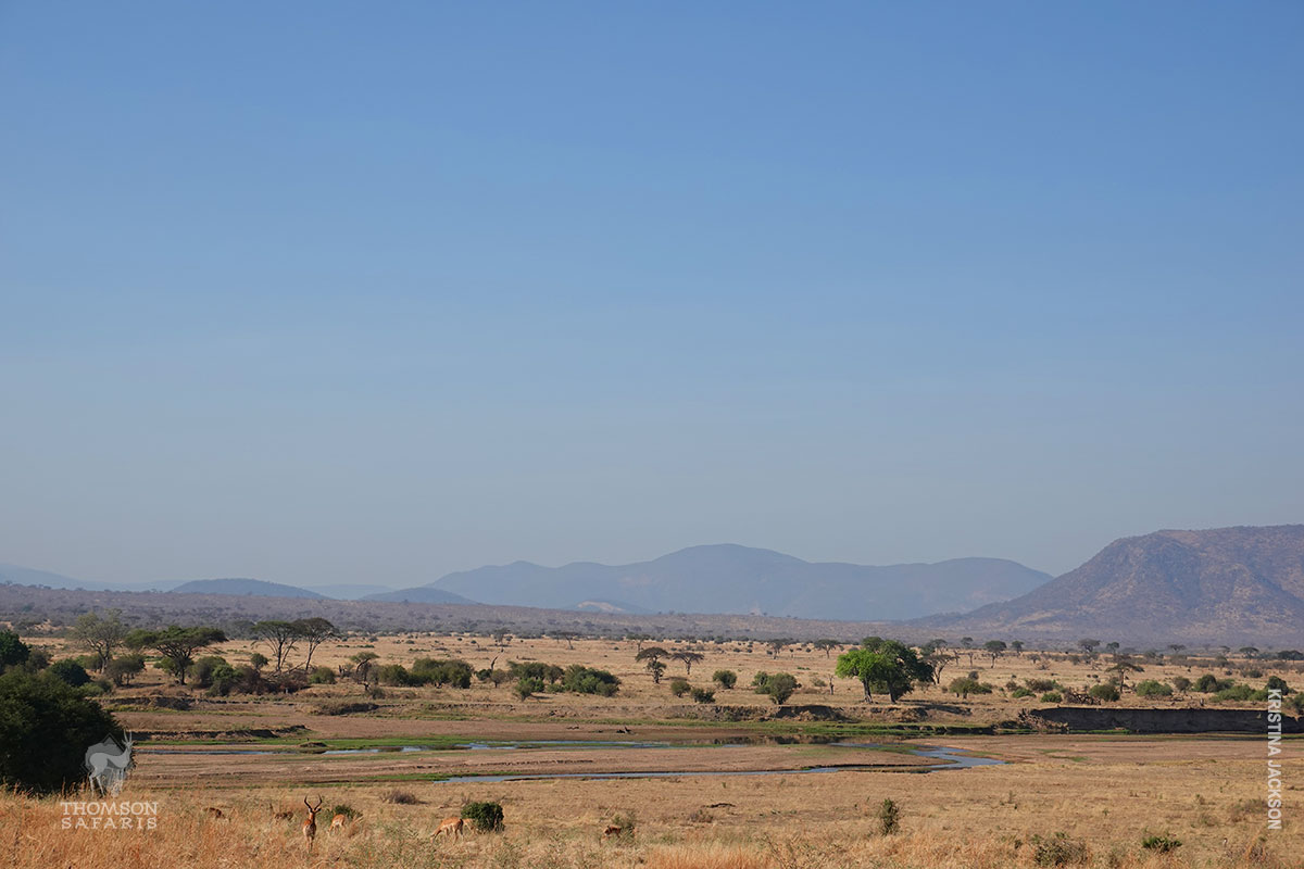 ruaha national park landscape