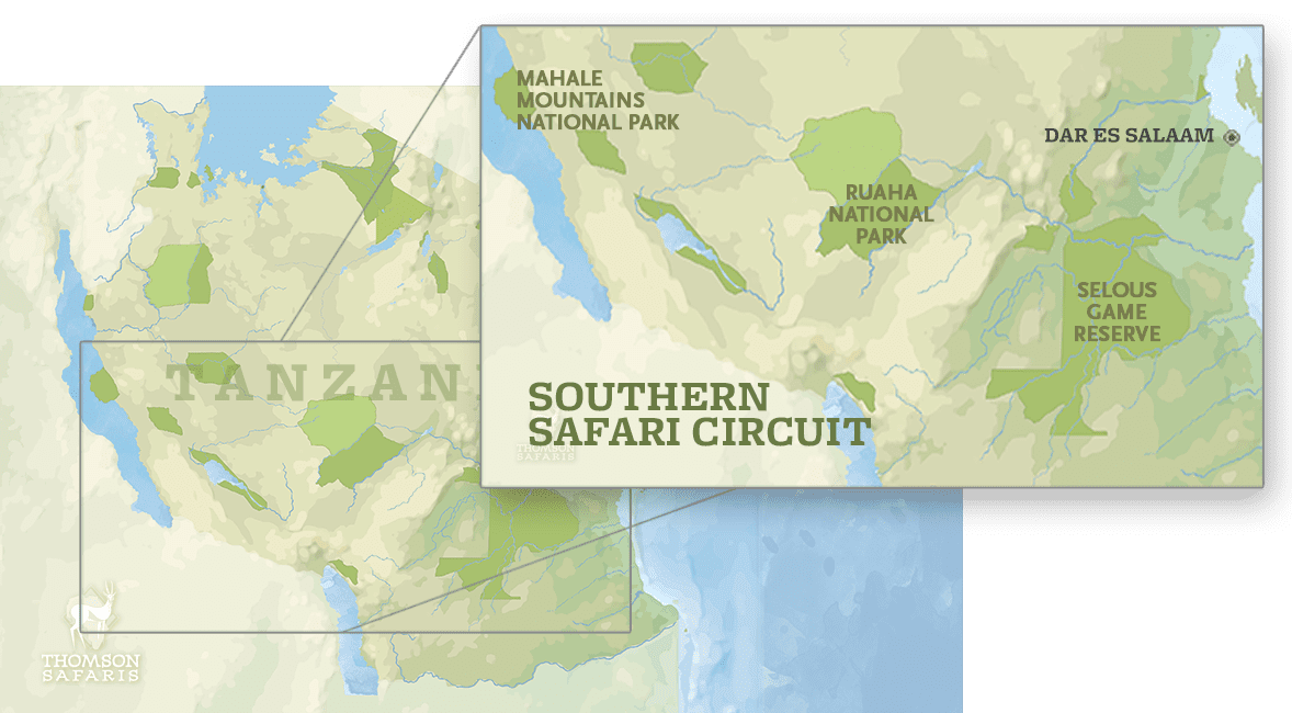 southern tanzania safari circuit
