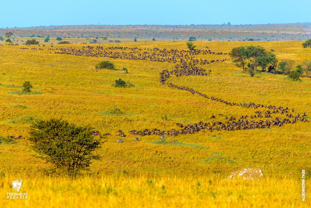 dry season from serengeti balloon