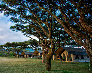 nyumba camp on ngorongoro crater rim