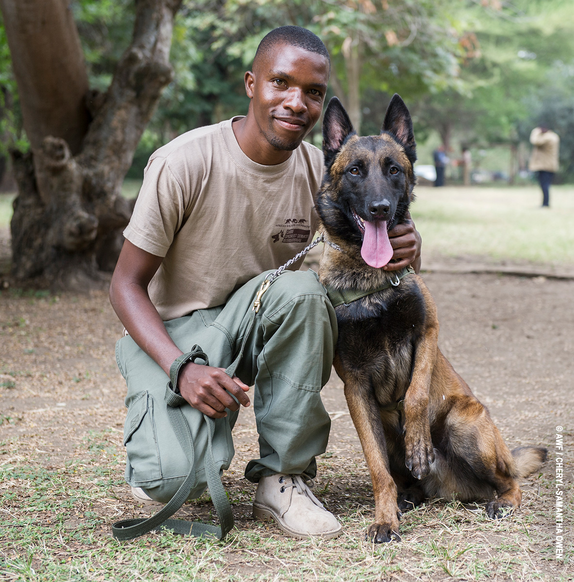 Will Powell with sniffer dog of AWF canine for conservation unit