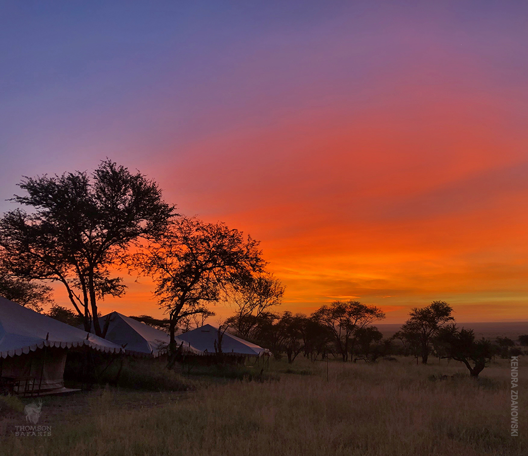 sunset at thomson serengeti nyumba camp in tanzania
