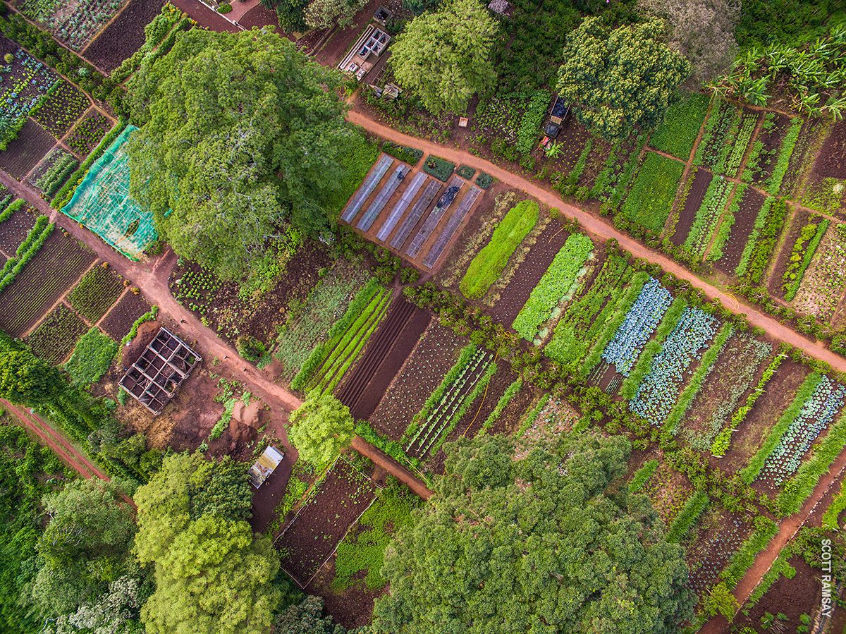 aerial view of gibbs farm gardens