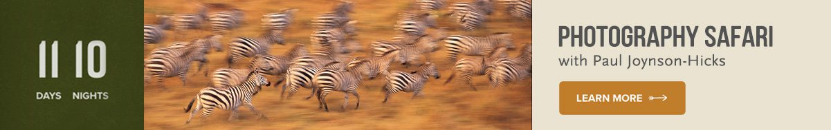 tanzania photography safari with paul joynson-hicks