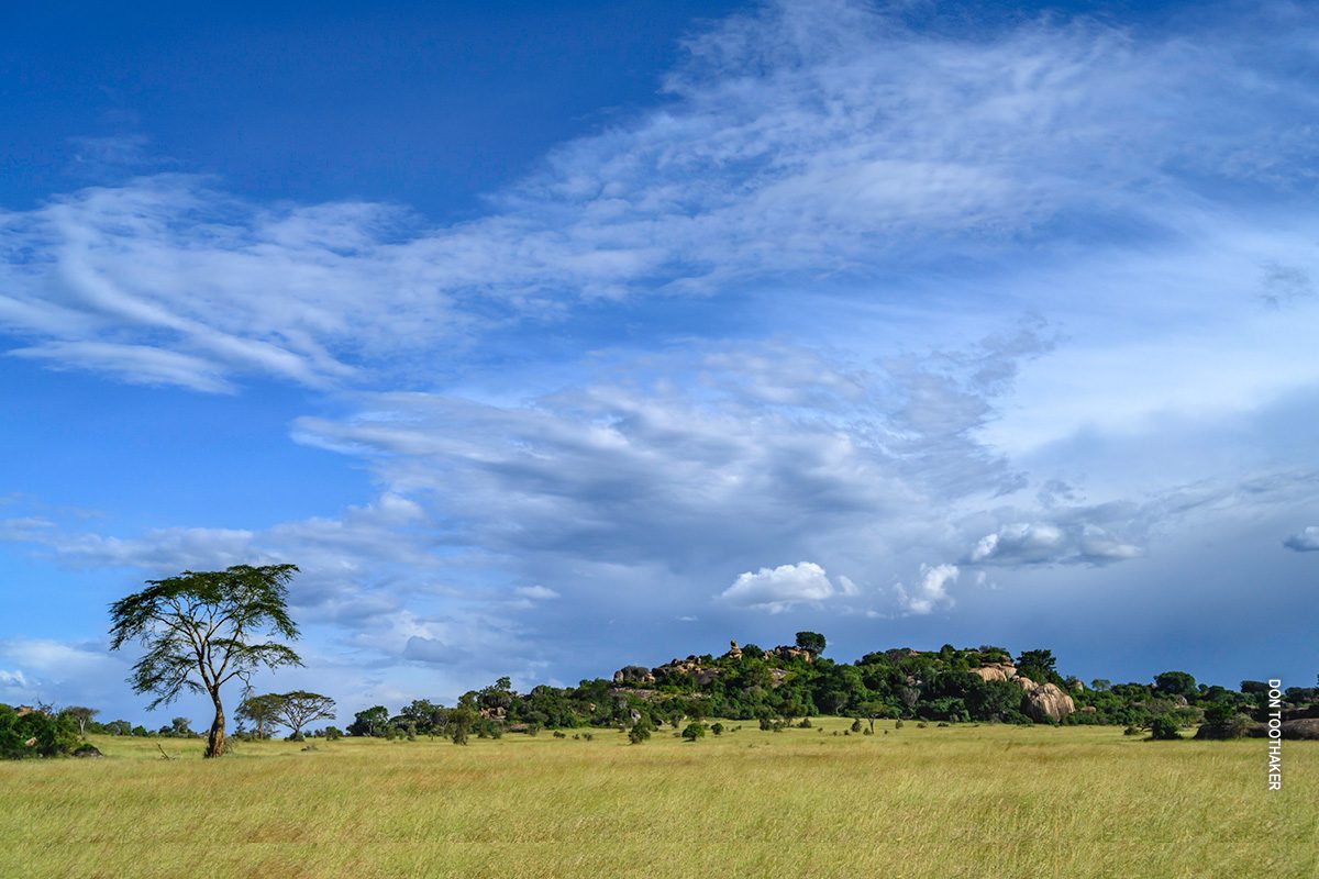 serengeti landscape with rocky outcrop and big sky