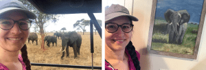 travel from home challenge africa elephants