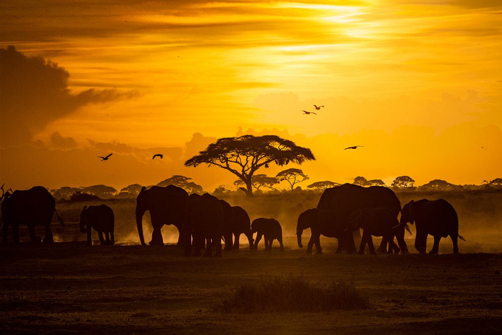 Explore Tanzania | Thomson Safaris