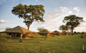 thomson northern serengeti nyumba camp