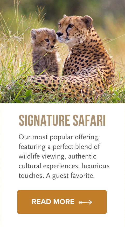most popular safari in tanzania
