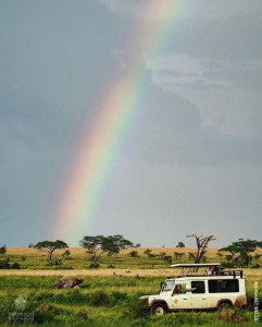 serengeti rainbow