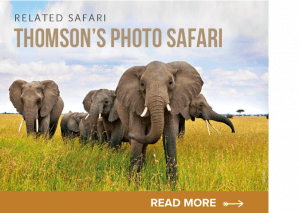 thomson photographic safari with paul joynson-hicks