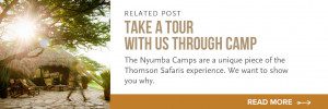 tour the thomson nyumba camps