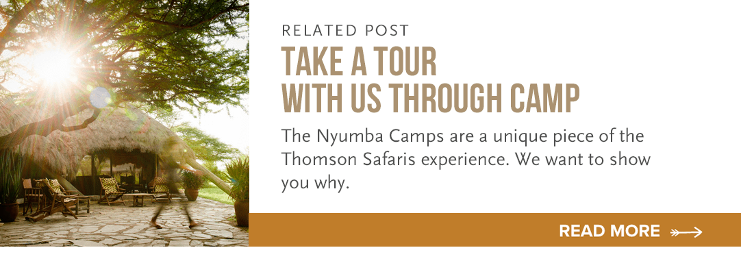tour thomson nyumba camps