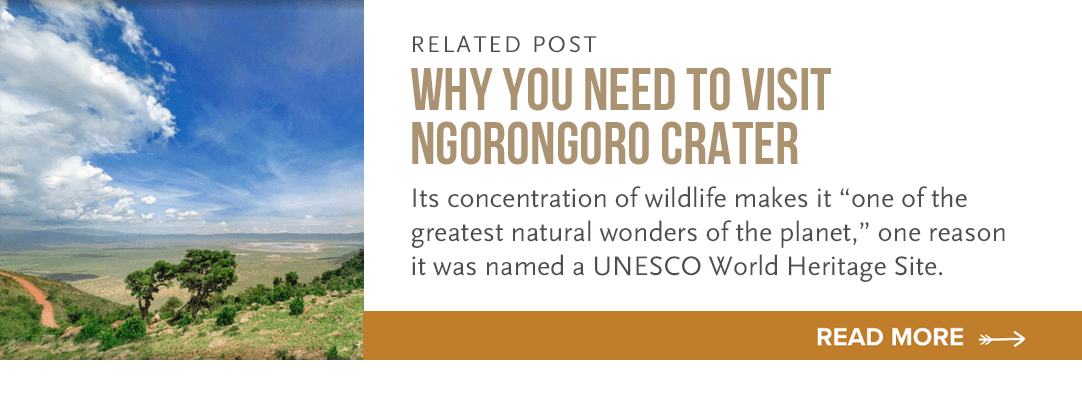 why you need to see ngorongoro crater