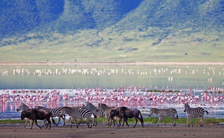 ngorongoro crater walls and lake
