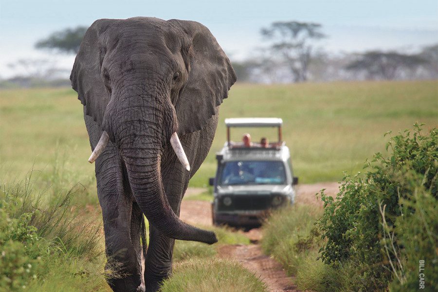 best safari in africa in november