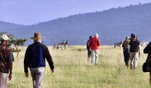 walking safari to serengeti