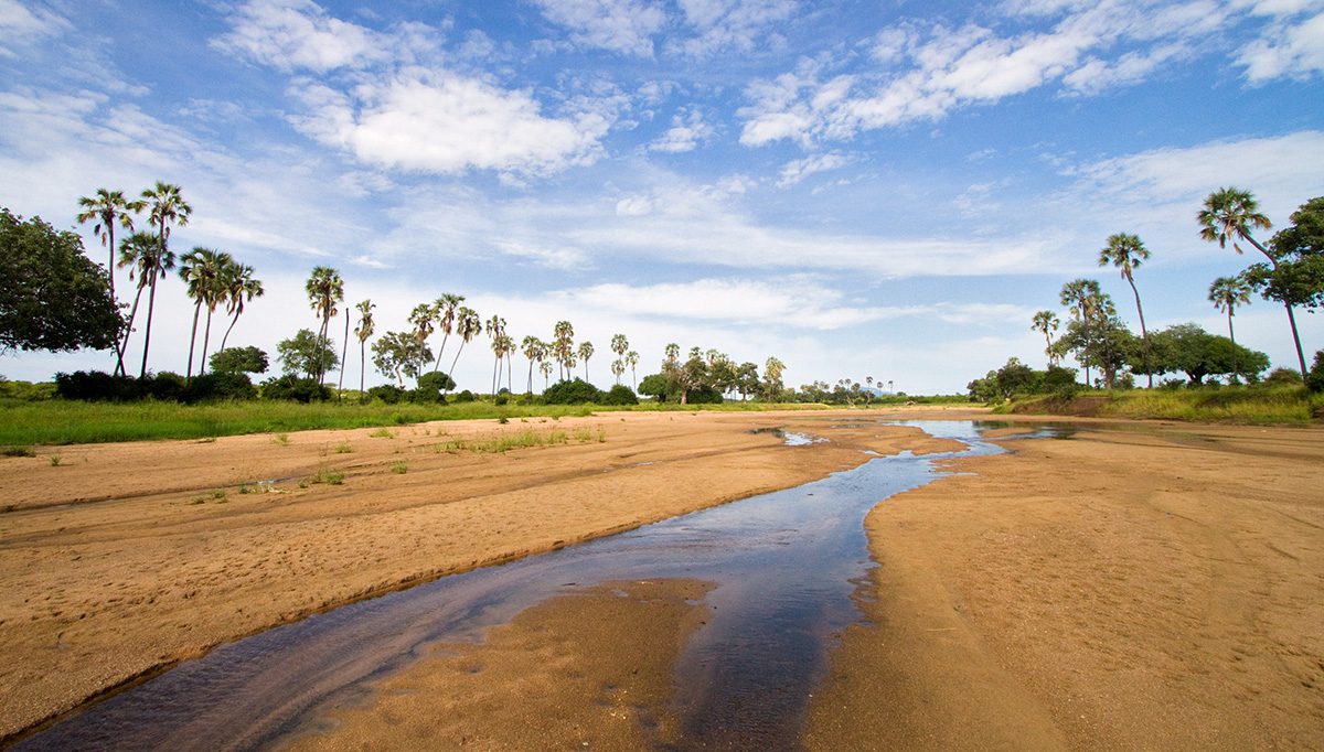 sand river in ruaha tanzania