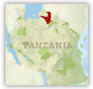 small tanzania map