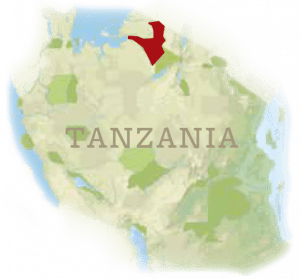 small map of tanzania