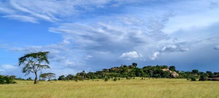 serengeti kopjes