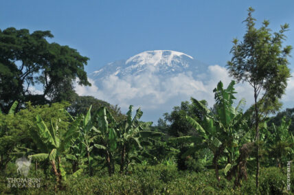 tanzania mt. kilimanjaro kili