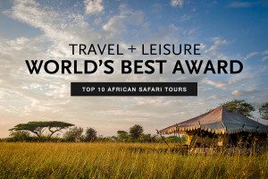 travel and leisure worlds best safari tours